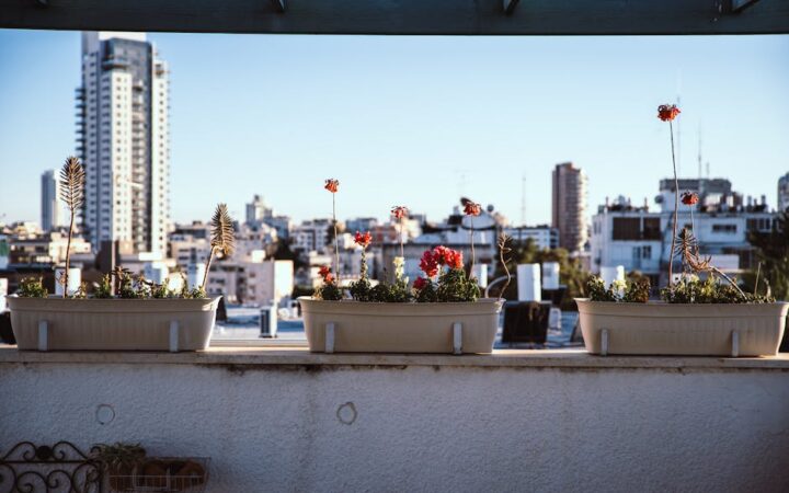 The Rise of Urban Gardening: How Men Are Redefining Cityscapes in 2026