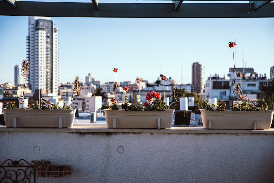 The Rise of Urban Gardening: How Men Are Redefining Cityscapes in 2026